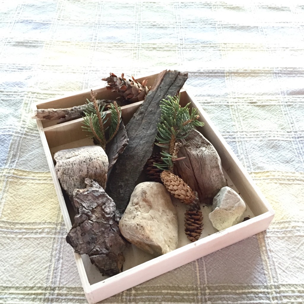 Nature tray for kids