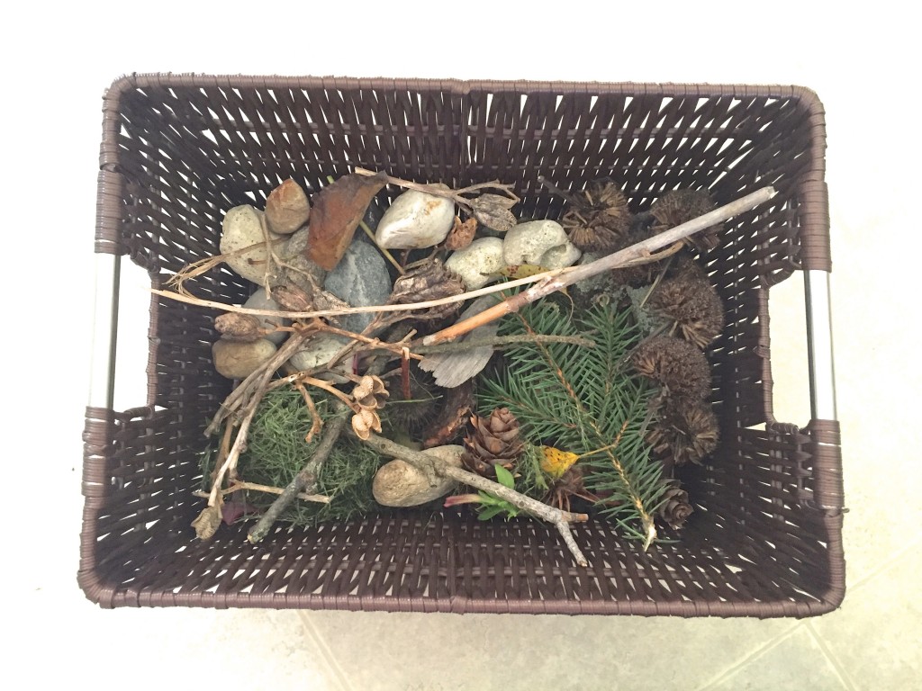 Nature box for kids