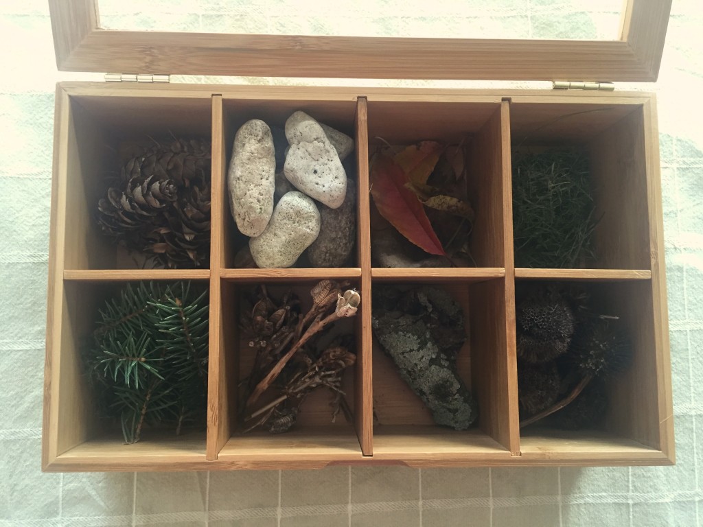 nature tray for kids