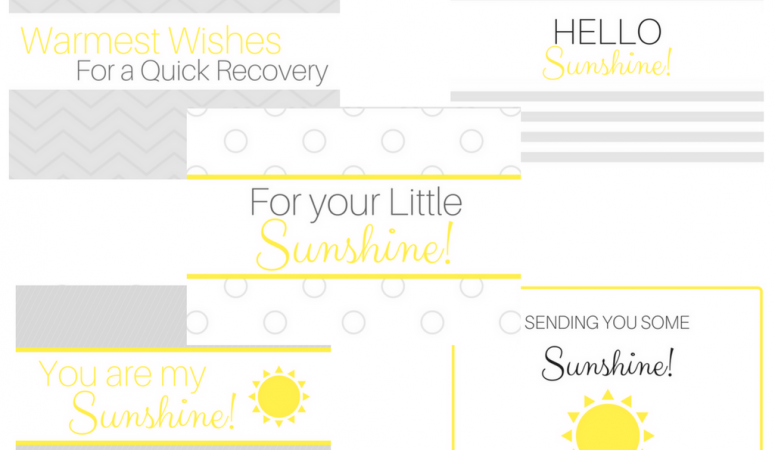 3 Sunshine Box Themes + a FREE printable!